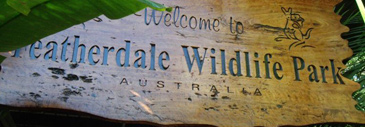 featherdale wildlife park sydney